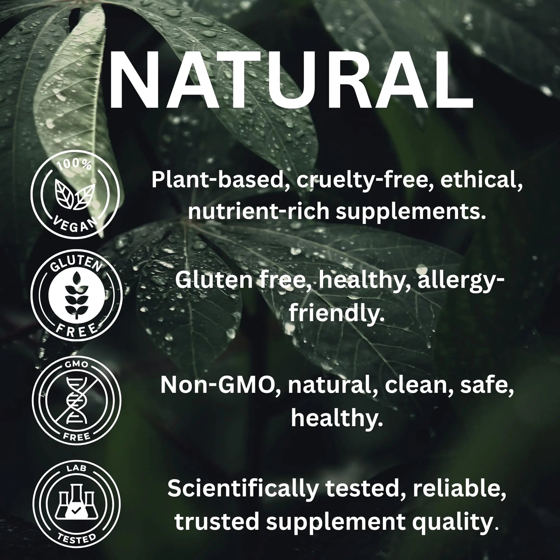 Nutrition Kings Lion’s Mane Mushroom 1000mg – 24:1 Ultra Potent Extract – 60 Vegan Capsules – Supports Memory, Focus, Mental Clarity & Cognitive Health – No Fillers, Non-GMO Nutrition Kings